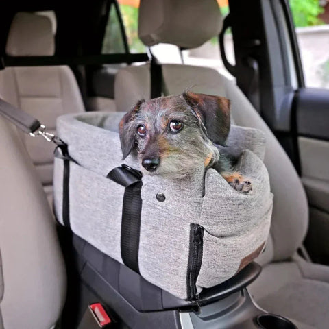 Car Travel Basket for Dogs – Perfect for Small Companions