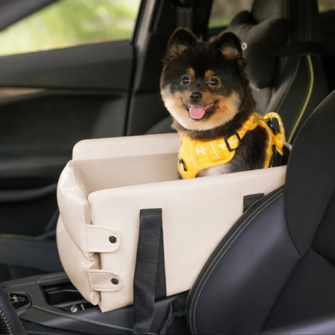 小型犬用自動車用バスケット — 車内の安全と快適さ
