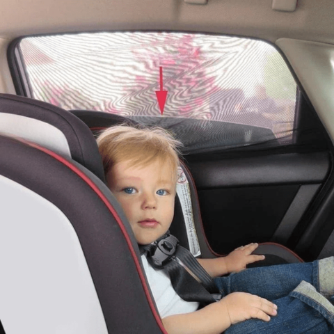 Tendalino Estensibile Per Auto