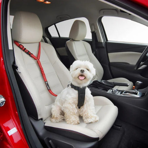 Cintura di Sicurezza Regolabile per Cani – Speciale Auto 
