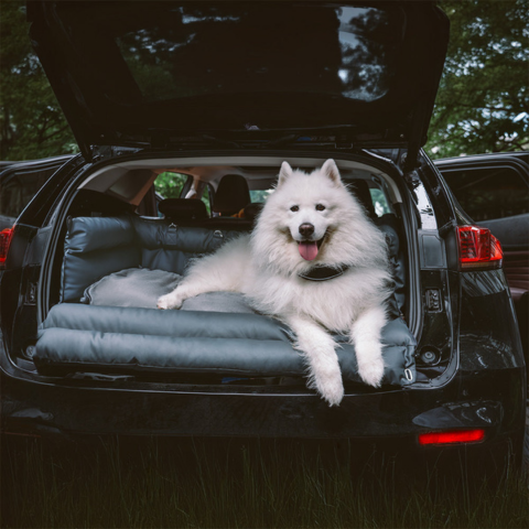 Dog Car Cushion – Support and Comfort on the Road 