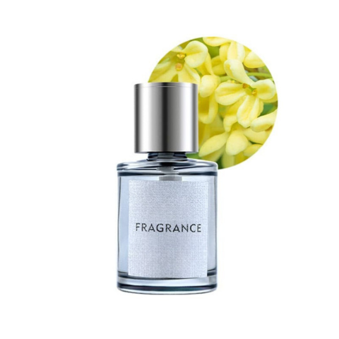 Aromatic Diffuser For Car – Scent And Style 