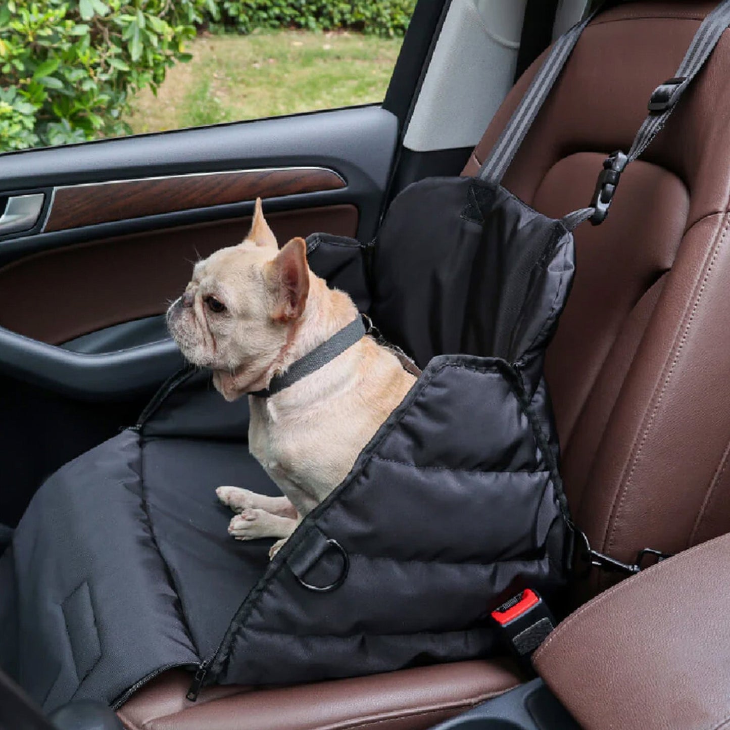 Cesta de Auto para Perros – Comodidad y Seguridad en Ruta 